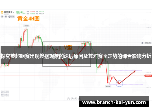 探究英超联赛出现停摆现象的深层原因及其对赛季走势的综合影响分析