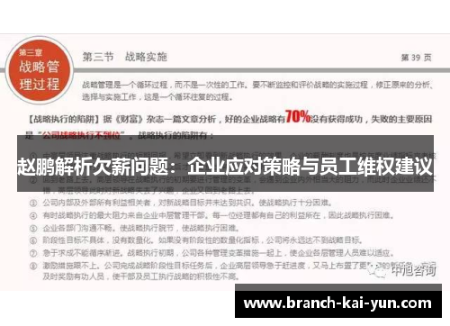 赵鹏解析欠薪问题：企业应对策略与员工维权建议