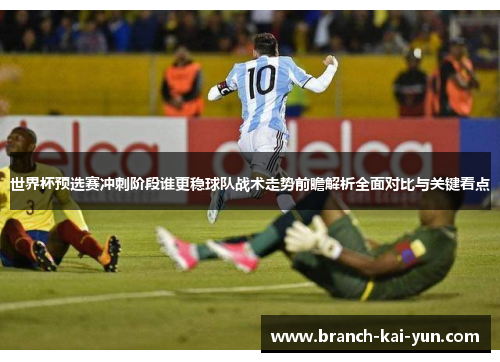 世界杯预选赛冲刺阶段谁更稳球队战术走势前瞻解析全面对比与关键看点