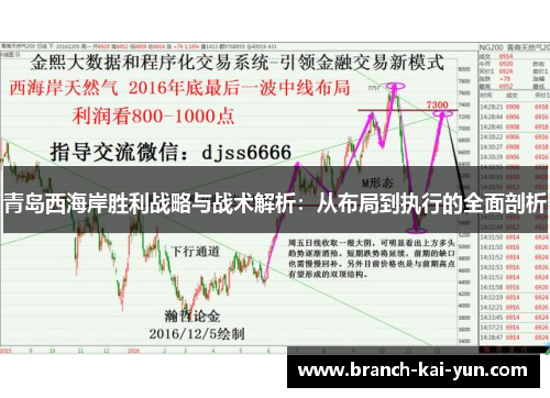 青岛西海岸胜利战略与战术解析：从布局到执行的全面剖析