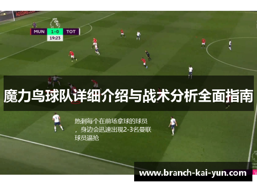 魔力鸟球队详细介绍与战术分析全面指南